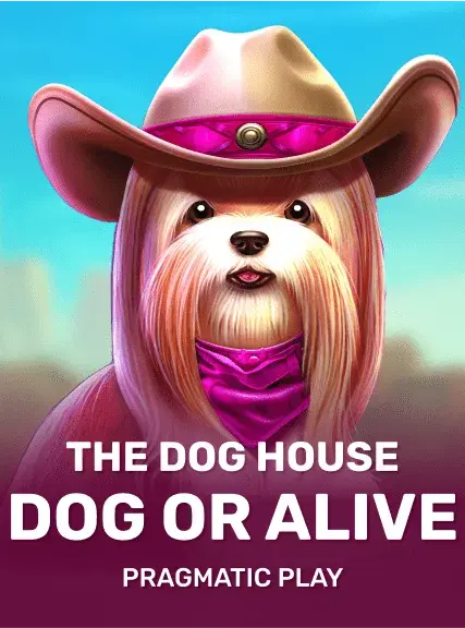 Dog house: Dog or alive